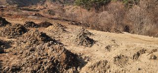 김제일님의 기타작물 · 영농일지 작성글 사진