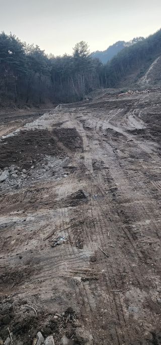 김제일님의 기타작물 · 영농일지 작성글 사진