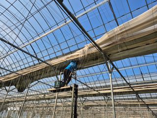 늘햇살팜 님의 기타작물 · 영농일지 작성글 사진