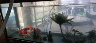 정석채님의 기타작물 · 영농일지 작성글 사진