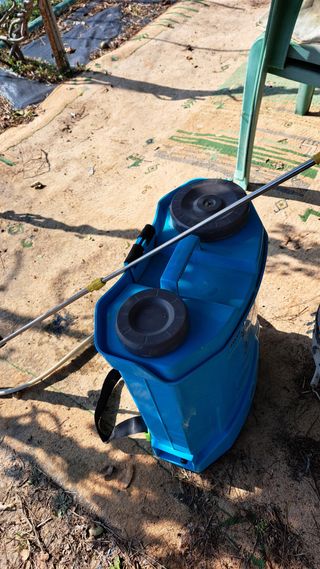 주윤발이님의 포도 · 영농일지 작성글 사진