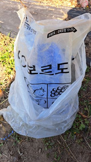 주윤발이님의 포도 · 영농일지 작성글 사진