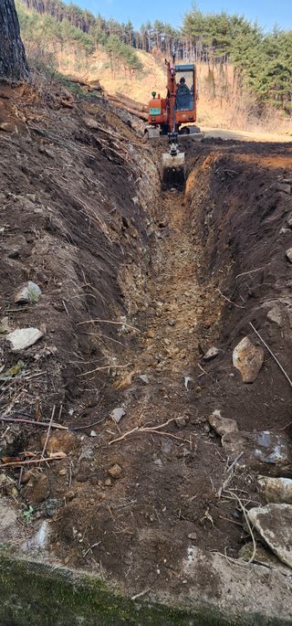 김제일님의 기타작물 · 영농일지 작성글 사진