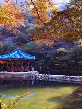 Captain김상곤님의 작성글 사진