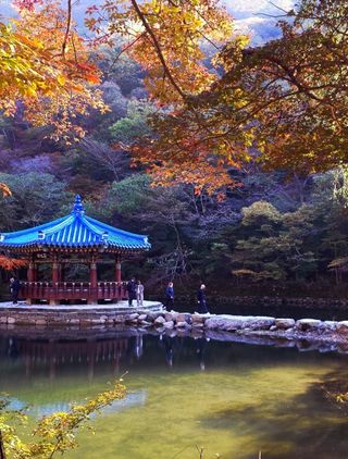 Captain김상곤님의 귤 · 영농일지 작성글 사진