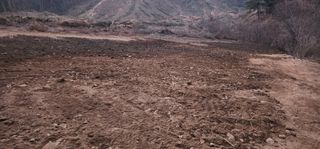 김제일님의 기타작물 · 영농일지 작성글 사진