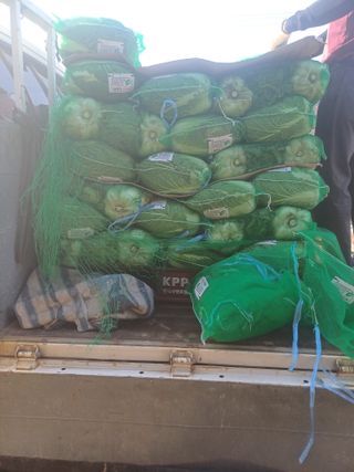 전원수님의 기타작물 · 영농일지 작성글 사진