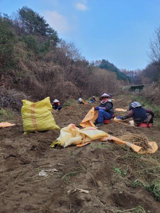 이름유순옥님의 기타작물 · 영농일지 작성글 사진