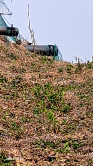 조연만님의 기타작물 · 영농일지 작성글 사진