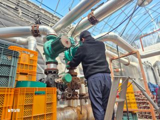 늘햇살팜 님의 기타작물 · 영농일지 작성글 사진