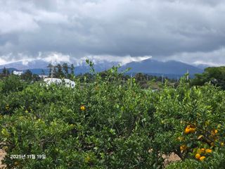 Captain김상곤님의 작성글 사진
