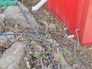 서보석님의 두릅 · 영농일지 작성글 사진