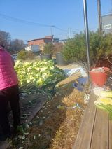 팜모닝 기타작물·영농일지 게시글 이미지