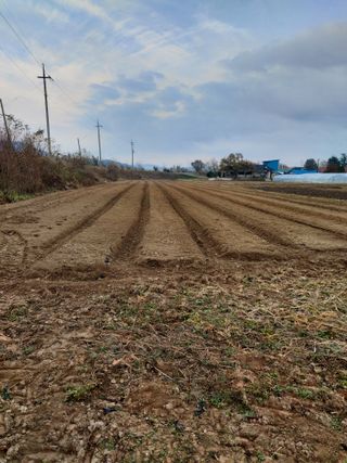 김기숙님의 기타작물 · 영농일지 작성글 사진