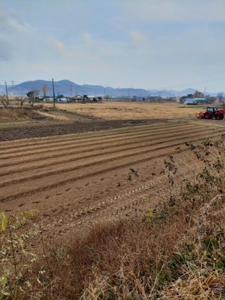 김기숙님의 기타작물 · 영농일지 작성글 사진