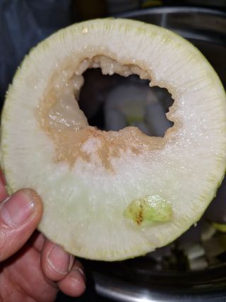 전수희님의 기타작물 · 영농일지 작성글 사진