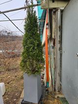 팜모닝 기타작물·영농일지 게시글 이미지