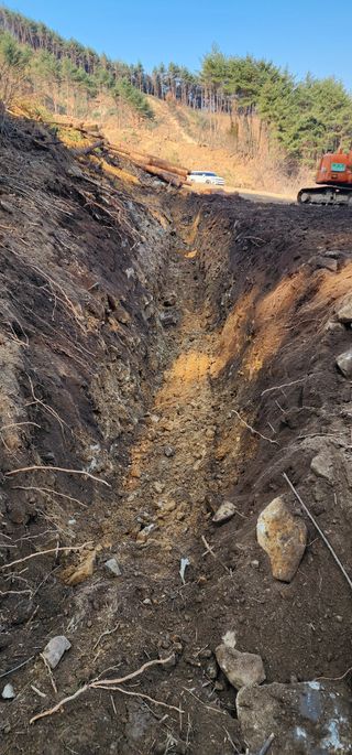 김제일님의 기타작물 · 영농일지 작성글 사진