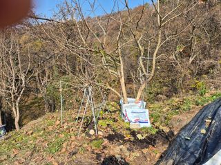 이준영님의 기타작물 · 영농일지 작성글 사진