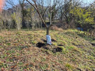 이준영님의 기타작물 · 영농일지 작성글 사진