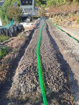 팜모닝 기타작물·영농일지 게시글 이미지