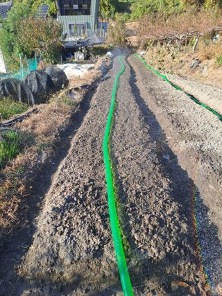 검은눈동자님의 기타작물 · 영농일지 작성글 사진