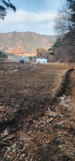 김제일님의 기타작물 · 영농일지 작성글 사진