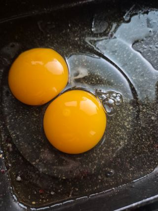 귤19190님의 호박 · 영농일지 작성글 사진