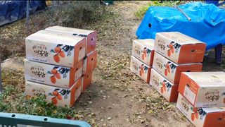 홍광희님의 기타작물 · 영농일지 작성글 사진