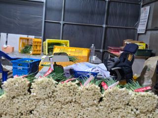 낙엽교목류22209님의 파 · 영농일지 작성글 사진