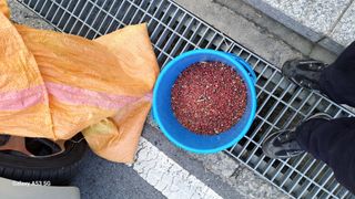 조연만님의 기타작물 · 영농일지 작성글 사진