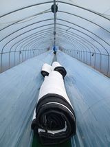 팜모닝 기타작물·영농일지 게시글 이미지