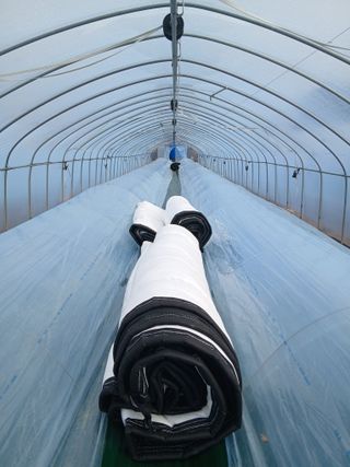 조영임님의 기타작물 · 영농일지 작성글 사진