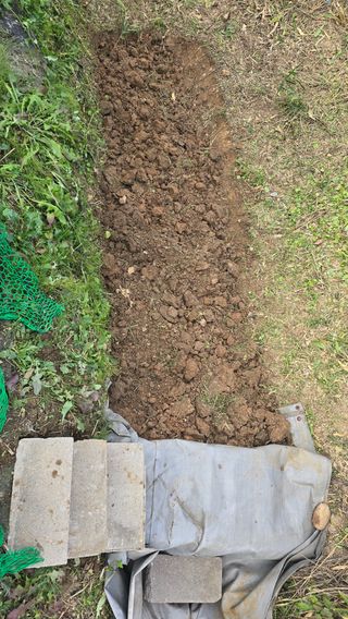 대박농장신초시님의 기타작물 · 영농일지 작성글 사진