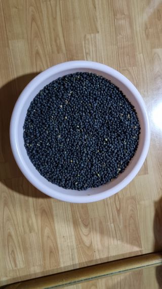 김지철님의 기타작물 · 영농일지 작성글 사진