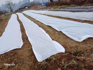 강성흔목사 님의 기타작물 · 영농일지 작성글 사진