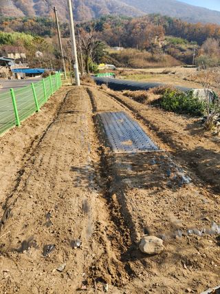 최군환님의 기타작물 · 영농일지 작성글 사진