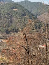 팜모닝 기타작물·영농일지 게시글 이미지