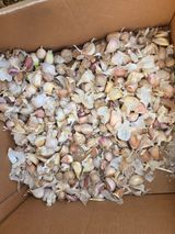 팜모닝 마늘·영농일지 게시글 이미지