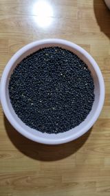 팜모닝 기타작물·영농일지 게시글 이미지