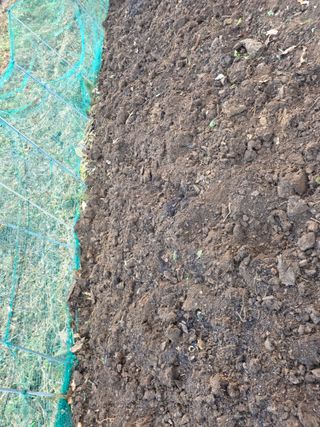 한상훈님의 마늘 · 영농일지 작성글 사진