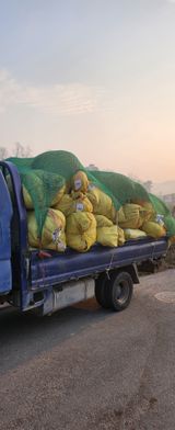 팜모닝 사과·영농일지 게시글 이미지