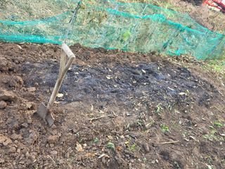 한상훈님의 마늘 · 영농일지 작성글 사진