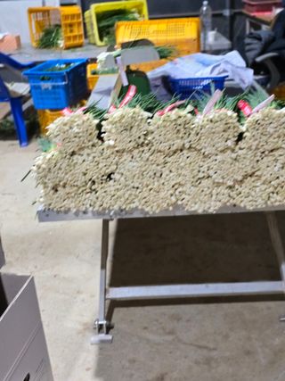 낙엽교목류22209님의 파 · 영농일지 작성글 사진