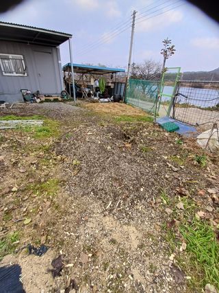 12345우각장당리님의 들깨 · 영농일지 작성글 사진