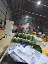 팜모닝 파·영농일지 게시글 이미지