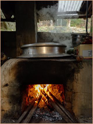 인생은 소풍처럼님의 배추 · 영농일지 작성글 사진