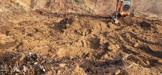 김제일님의 기타작물 · 영농일지 작성글 사진