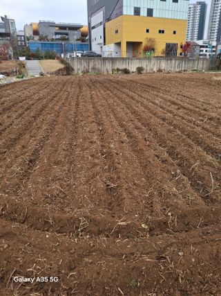 행복한누룩님의 기타작물 · 영농일지 작성글 사진