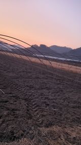 팜모닝 기타작물·영농일지 게시글 이미지